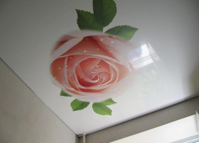 tissu extensible avec impression photo en forme de rose