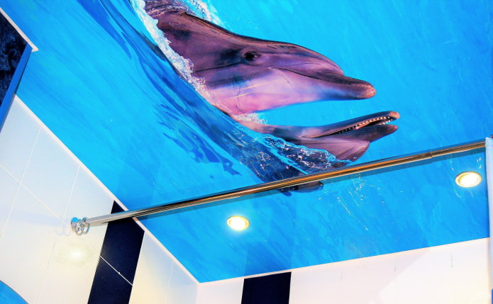 plafond avec une photo de dauphins dans la salle de bain