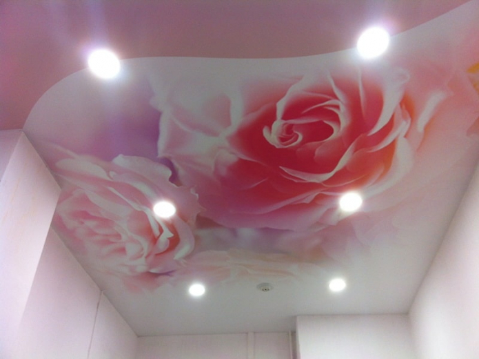 conception de plafond rose avec impression photo