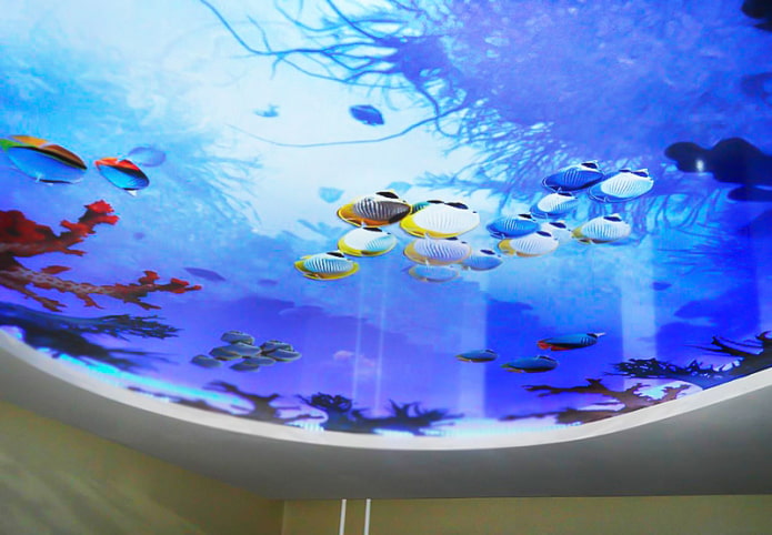 plafond avec impression photo 3D imitant un aquarium