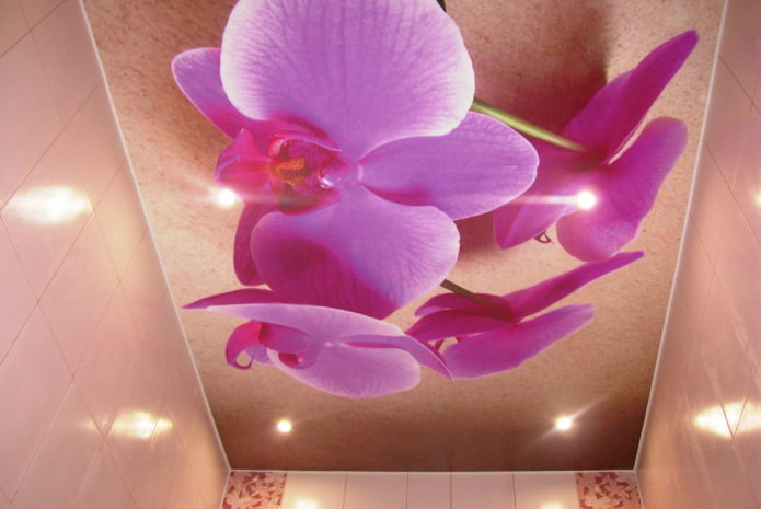 plafond avec des orchidées