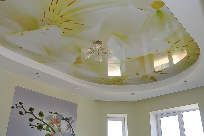 plafond avec des fleurs