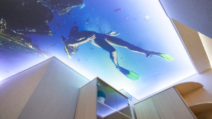 Plafond 3d avec l'image de la mer et d'un plongeur