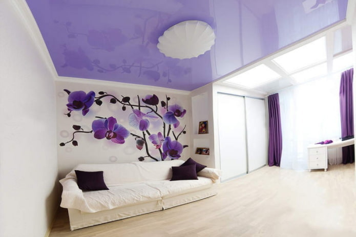 plafond lilas dans le salon