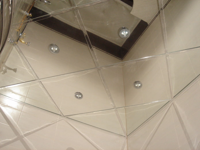 construction de plafond de miroir d'argent