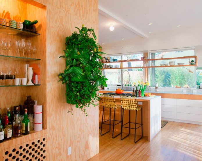 plantes sur le mur à l'intérieur de la cuisine