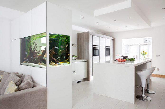 armoire avec un aquarium sous la forme d'une cloison à l'intérieur