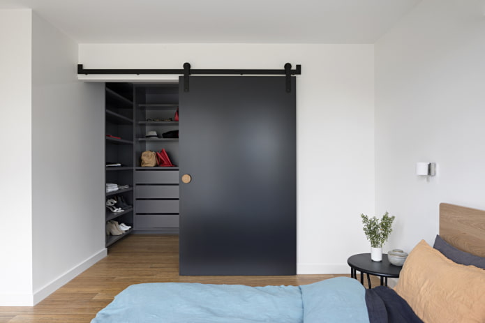 dressing avec porte mate à l'intérieur de la chambre