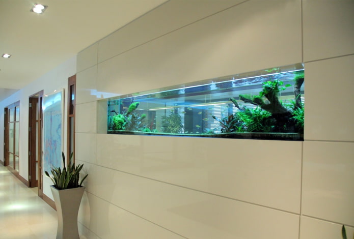 niche avec un aquarium à l'intérieur