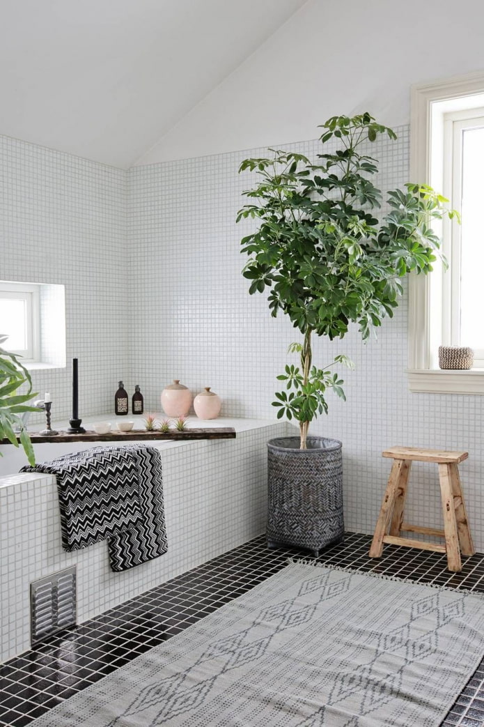 Des plantes dans la salle de bain