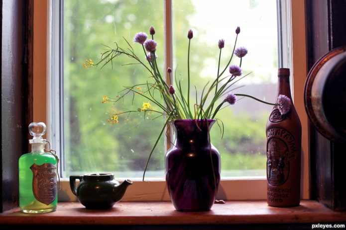 Vase et bouteille de vin