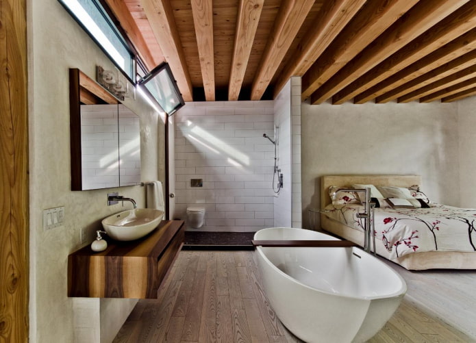 Salle de bain avec douche dans la chambre