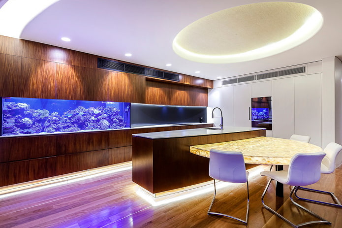 intérieur de cuisine avec aquarium