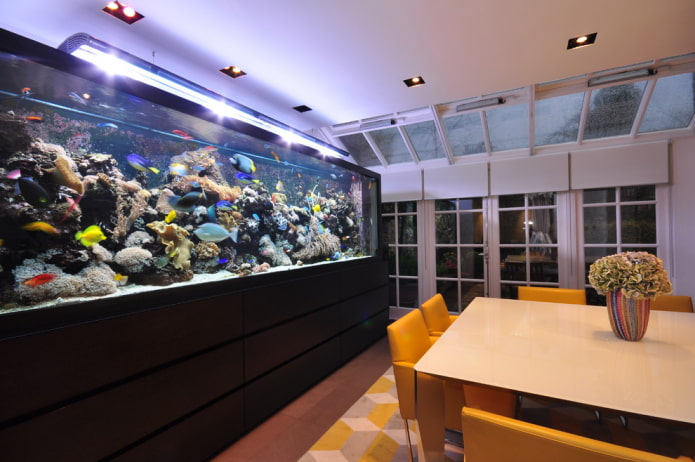 intérieur avec aquarium au sol