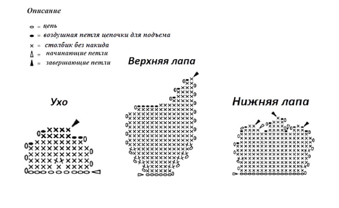 Diagram ng paws at tainga