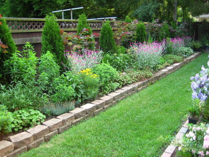 mélange de parterres de fleurs à la clôture