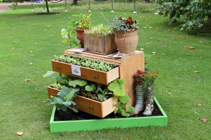 parterre de fleurs dans une commode