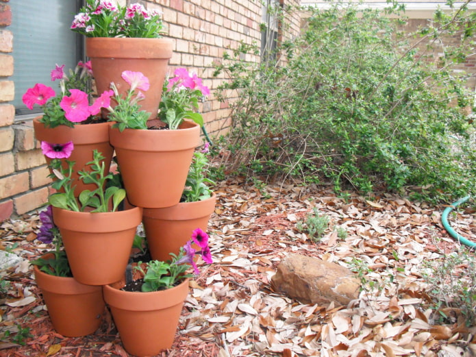 pots dans le jardin