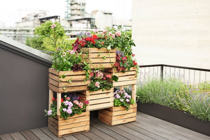 jardin de fleurs de boîtes