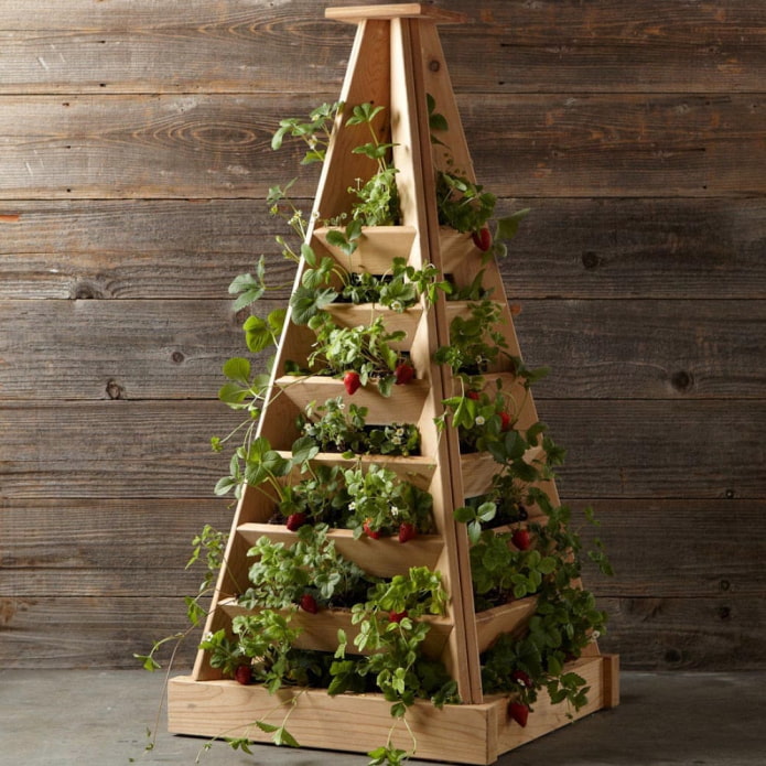 Fraises dans un parterre de fleurs vertical