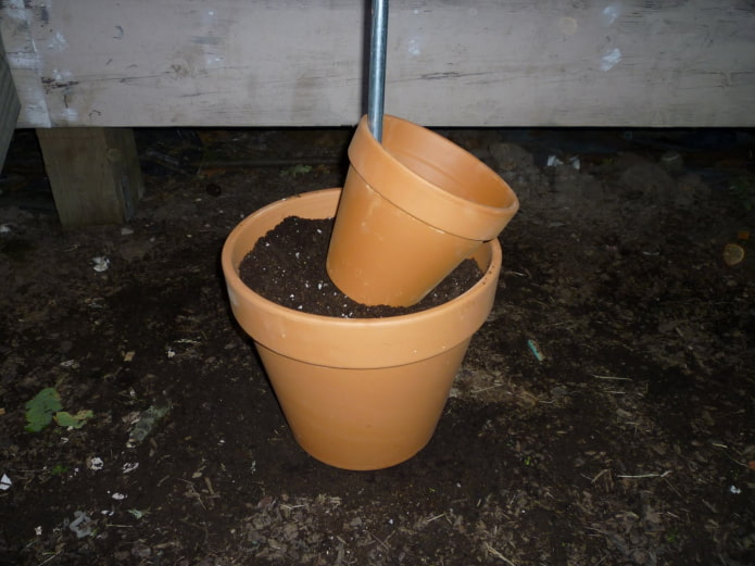 Deux pots pour un parterre de fleurs