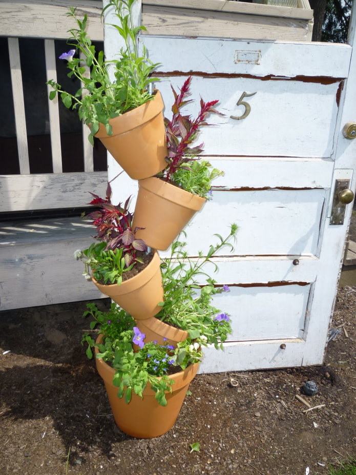 Parterre de pots