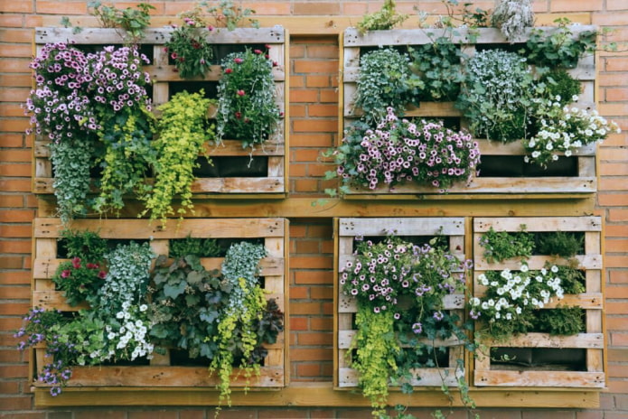 Parterres de fleurs verticaux sur la clôture