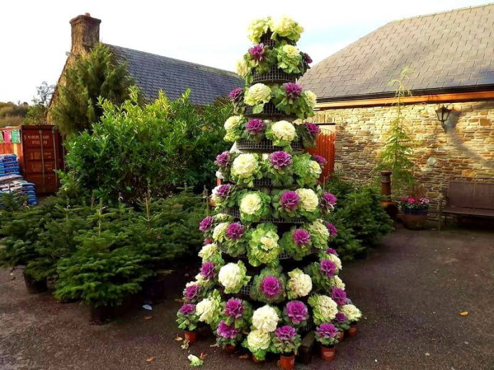 Parterre de fleurs en cascade