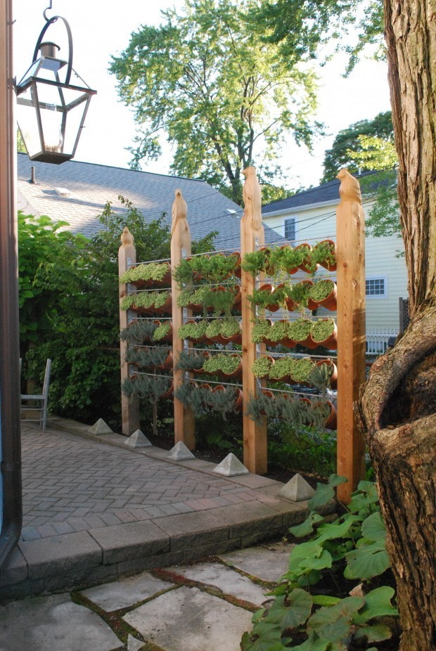 Écran de plantes en pots