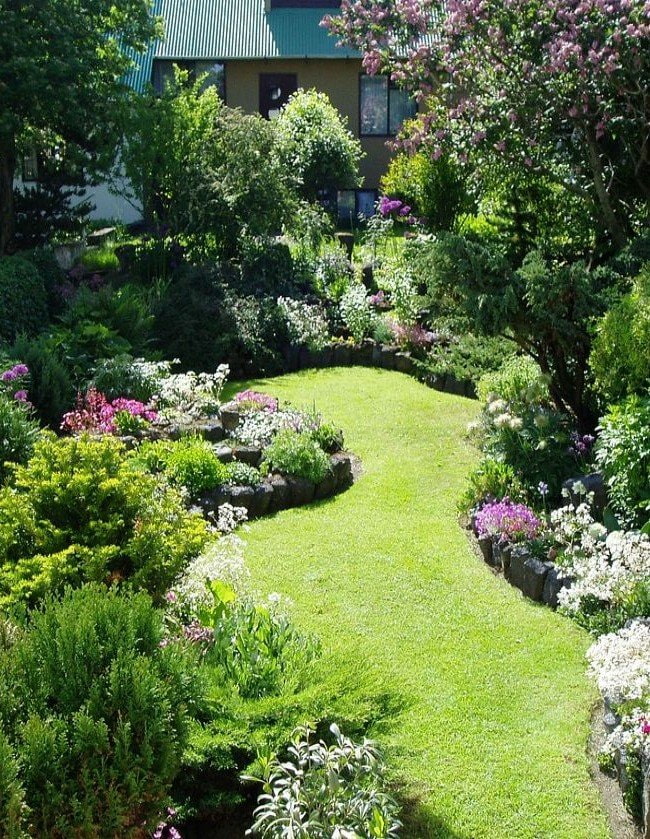 pelouse dans un pré dans le jardin