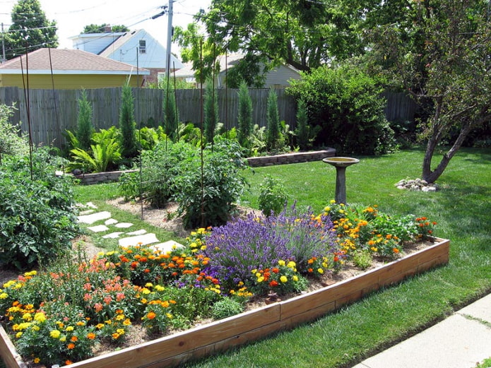 Jardin de fleurs