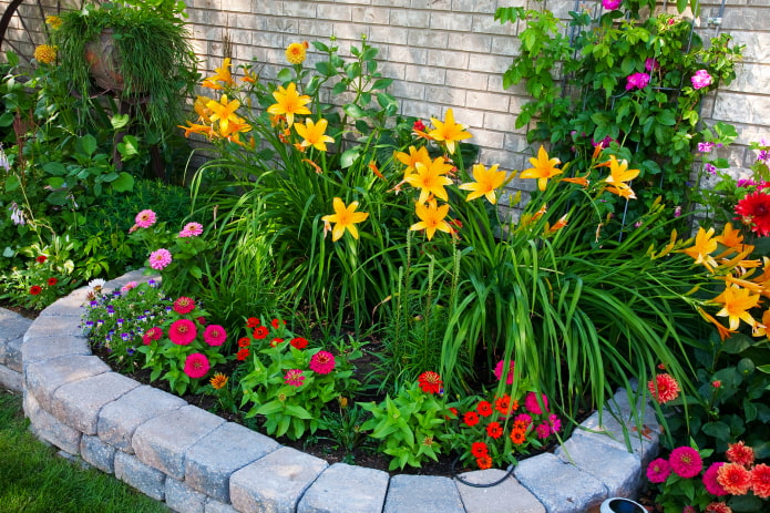 Jardin de fleurs