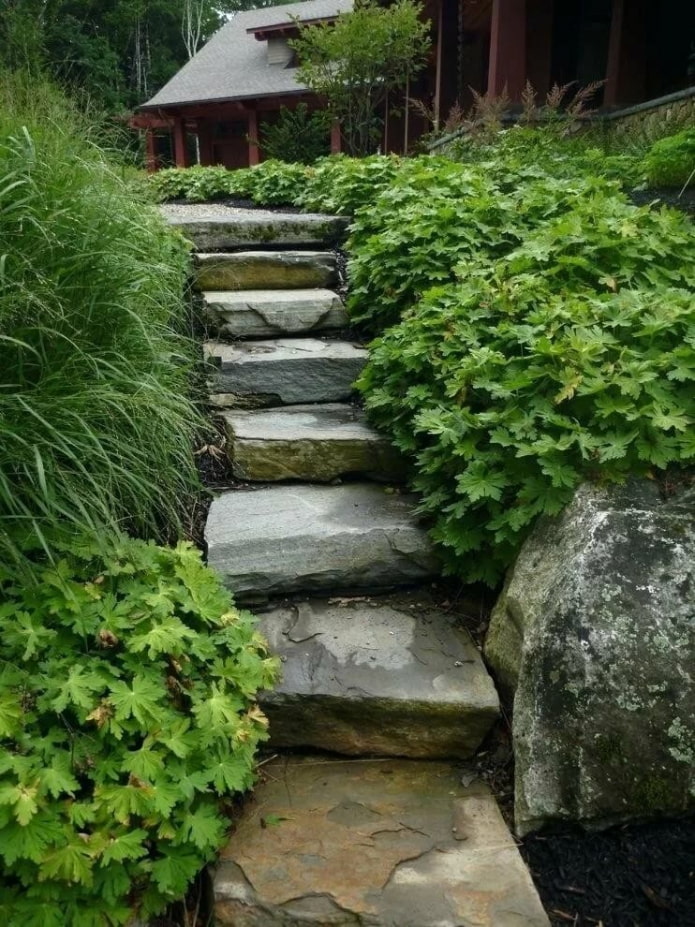 escalier en pierre dans le jardin