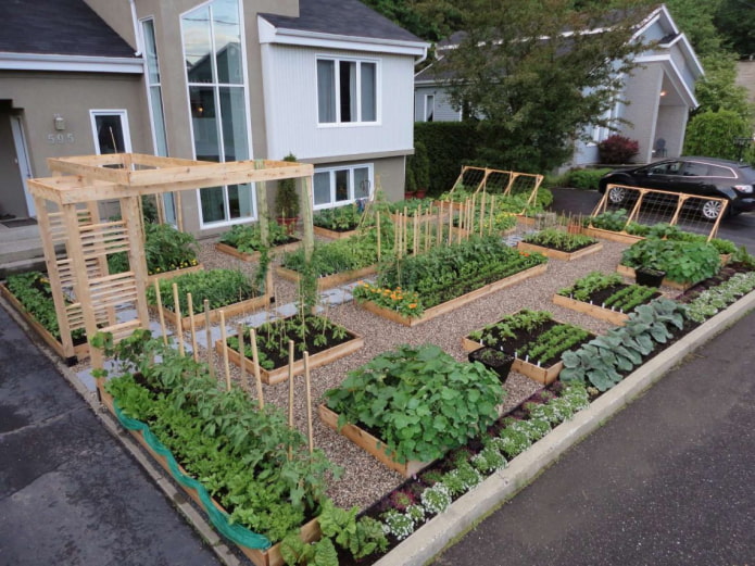 jardin soigné à la maison