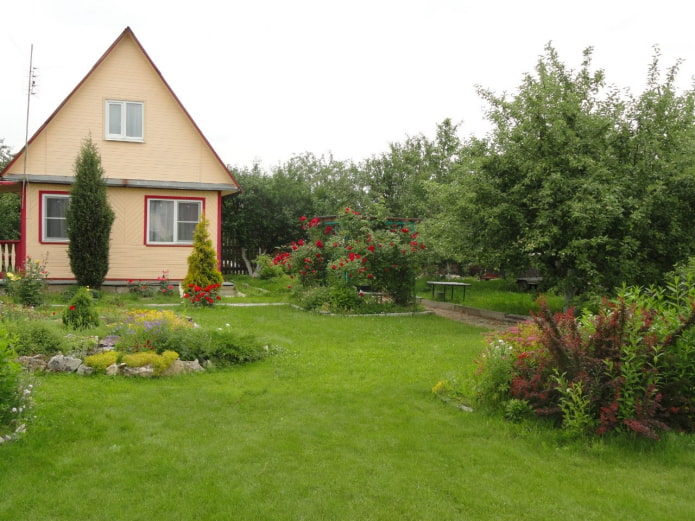 Lawn at bahay