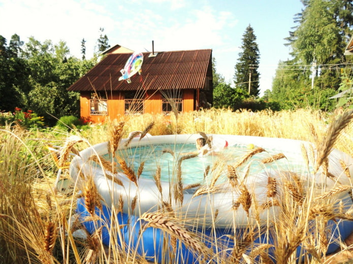 Piscine sur le terrain