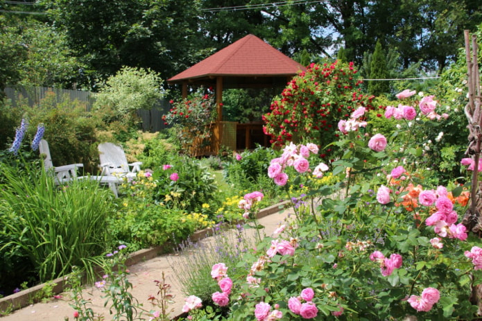 Gazebo et roses