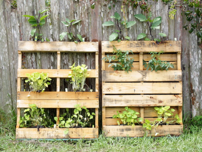 Palettes d'herbes près de la clôture