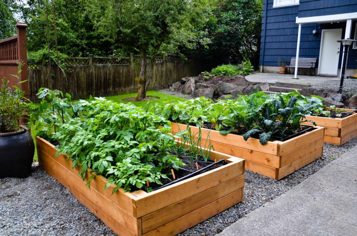 Bordures de jardin