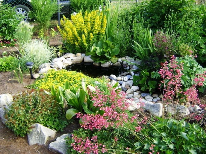 Petit étang dans le jardin