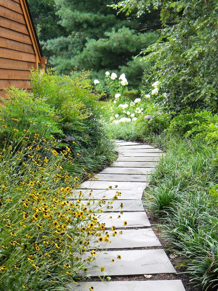 Chemin de jardin sinueux