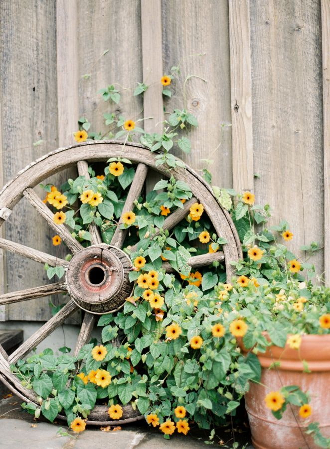 Roue avec des fleurs