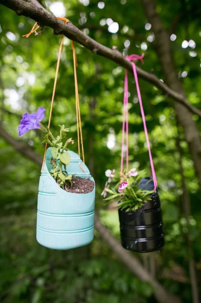 Pots suspendus à des bouteilles