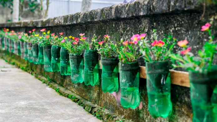 Parterre de fleurs sur une clôture faite de bouteilles