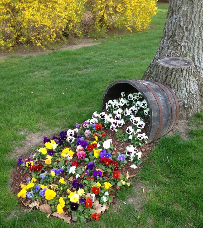 Parterre de fleurs d'un tonneau