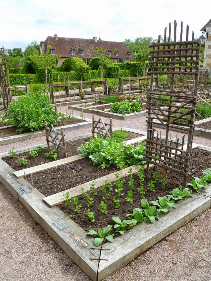 espace jardin dans le jardin