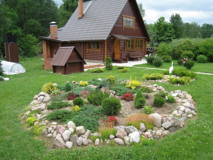 parterre de fleurs inhabituel dans le pays