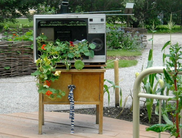 Un parterre de fleurs d'un vieux téléviseur