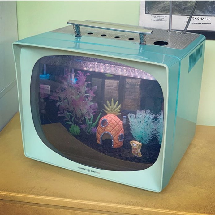 aquarium élégant d'un vieux téléviseur