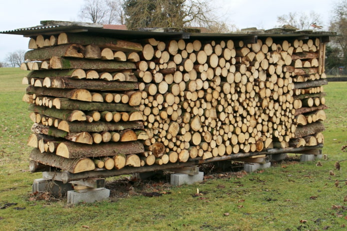 Tas de bois recouvert d'ardoise